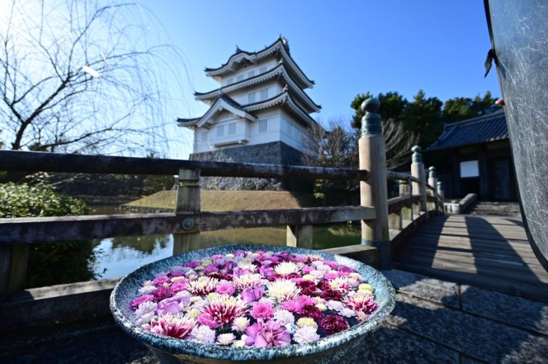 行田忍城与花手水的实景照片